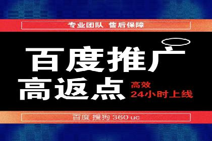 竞价排名案例：快速抢占市场先机